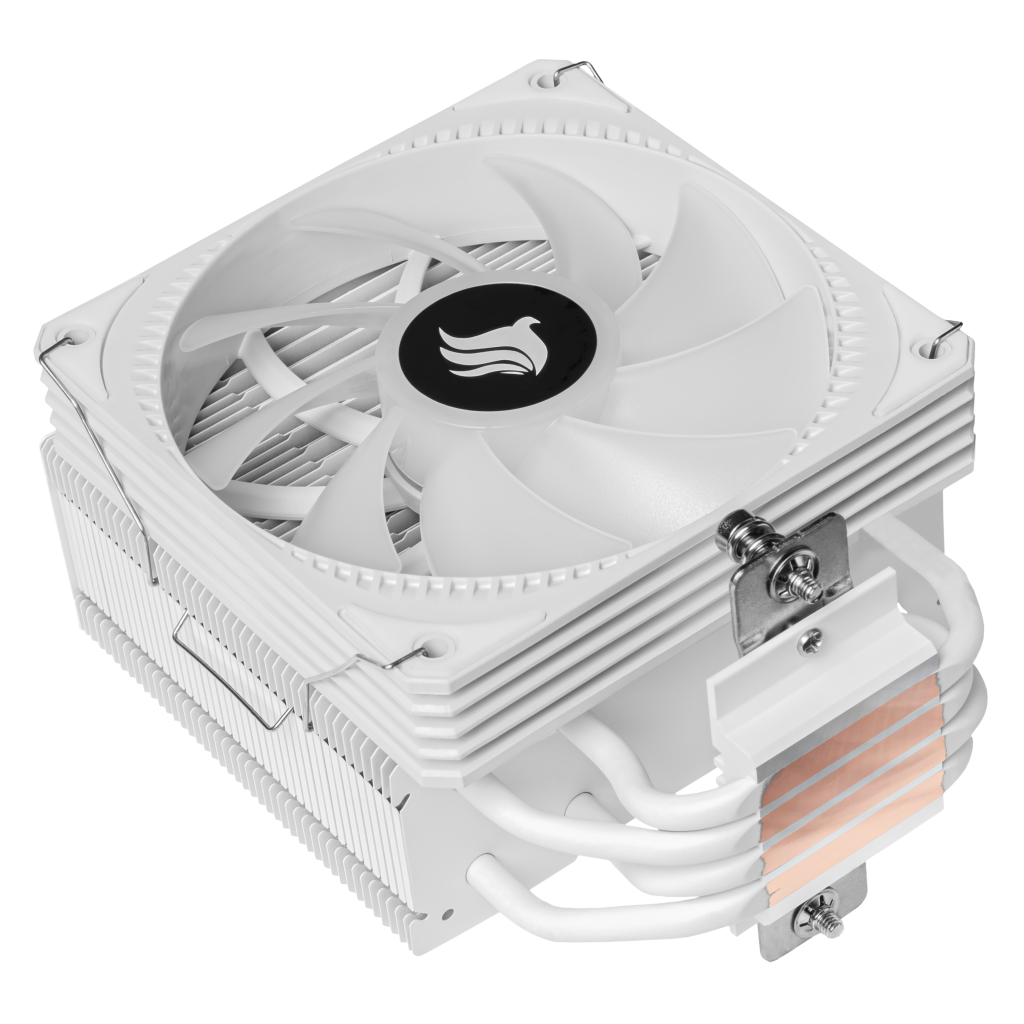 PG-SGEWH-RGB-V02 (2)