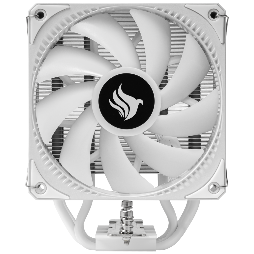 PG-SGEWH-WH-V02 (10)