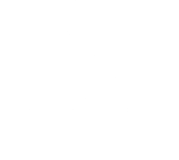 Logo da placa