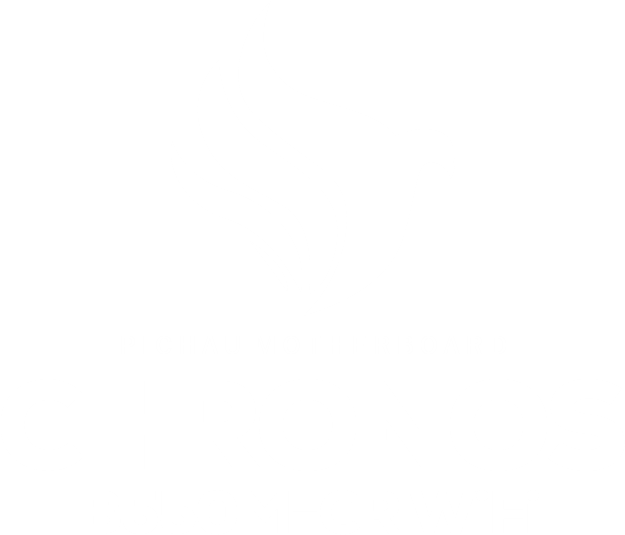 Logo da placa