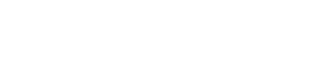 ícone de desempenho