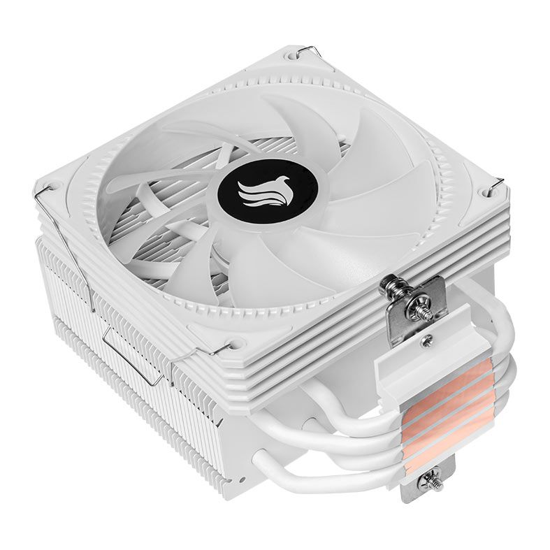 PG-SGEWH-RGB-V02 (4)