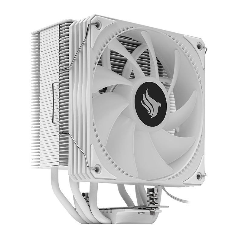PG-SGEWH-RGB-V02 (5)
